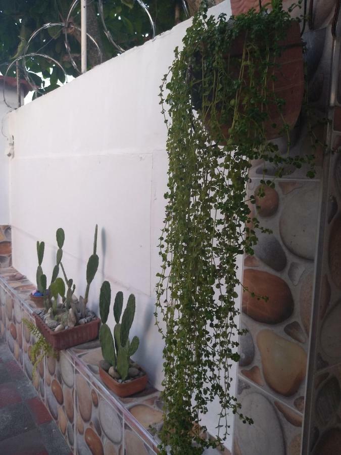 Habitacion Casa Las Aves Онда Екстер'єр фото