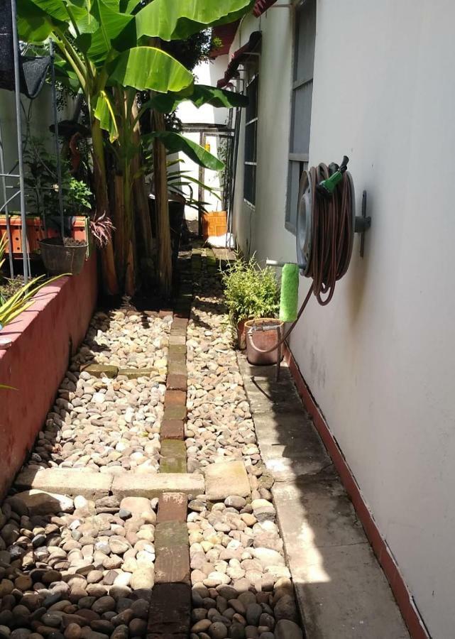 Habitacion Casa Las Aves Онда Екстер'єр фото